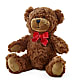 Adorable Plush Bear – Floral Insight, Houston TX