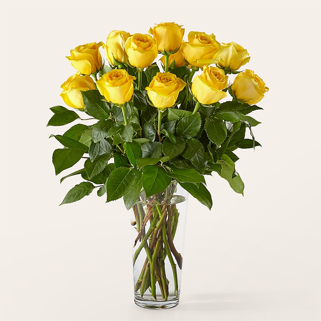 Long Stem Yellow Rose Bouquet – Floral Insight, Houston TX