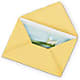 Greeting Card – Floral Insight, Houston TX