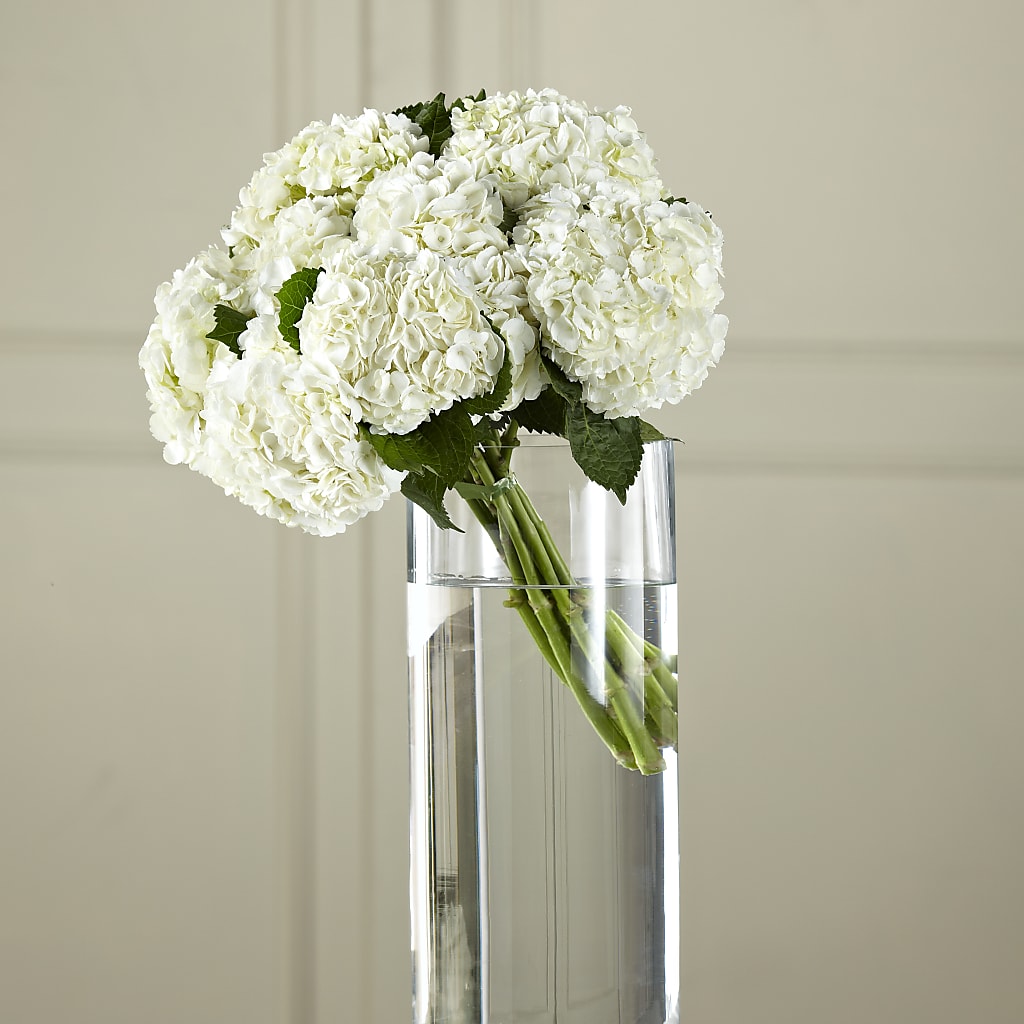 White Hydrangea Hand-Tied Bouquet – Floral Insight, Houston TX
