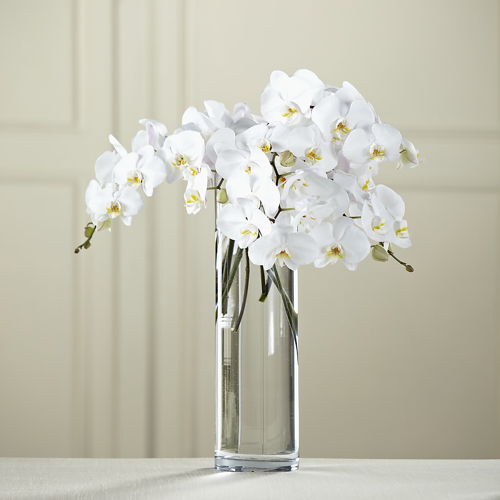 White Phalaenopsis Bouquet – Floral Insight, Houston TX
