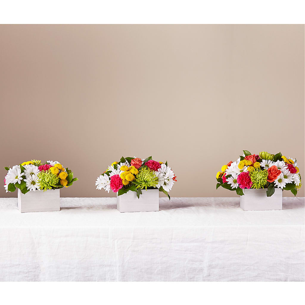 Sorbet Bouquet –  Floral Insight, Houston TX