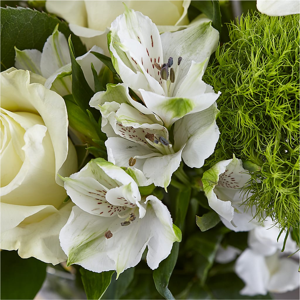 Classic Ivory – A Florist Original –  Floral Insight, Houston TX