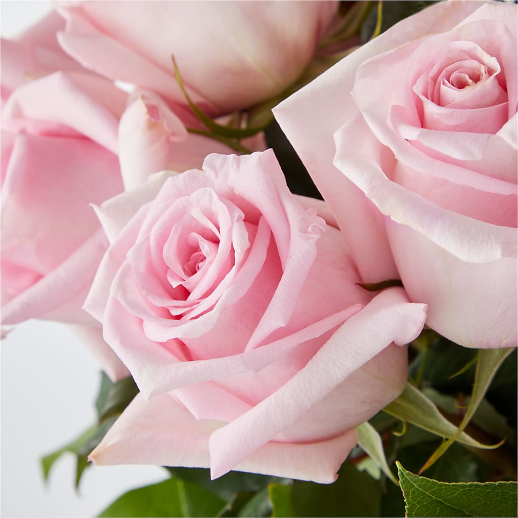 Picture Perfect Pink Rose Bouquet –  Floral Insight, Houston TX