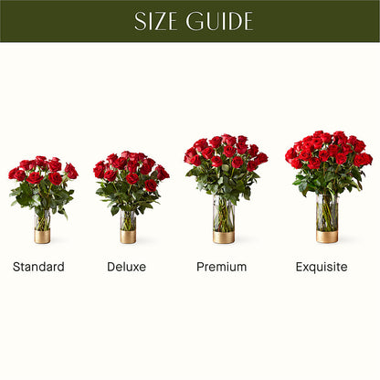 Classic Love Red Rose Bouquet –  Floral Insight, Houston TX