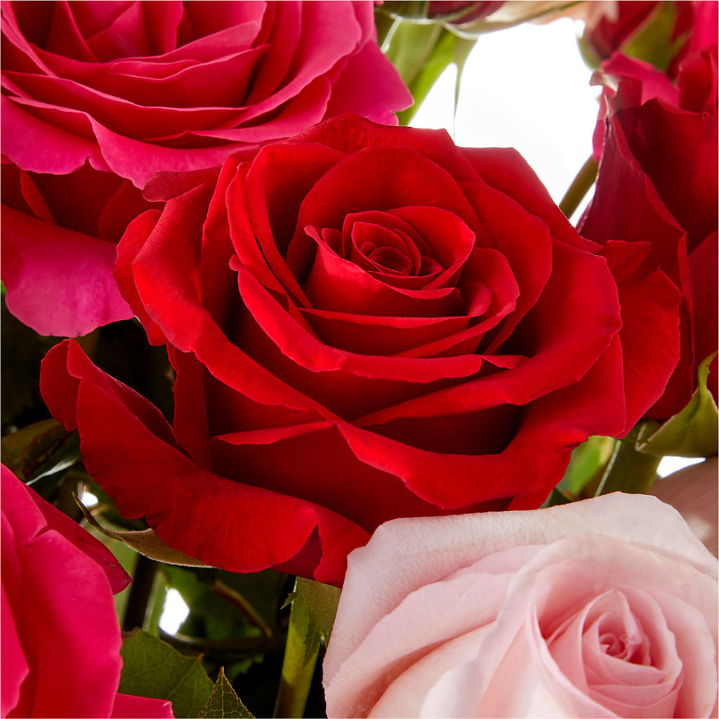 Love Notes Rose Bouquet –  Floral Insight, Houston TX