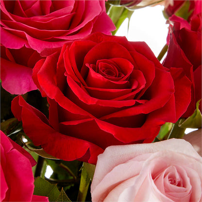 Love Notes Rose Bouquet –  Floral Insight, Houston TX