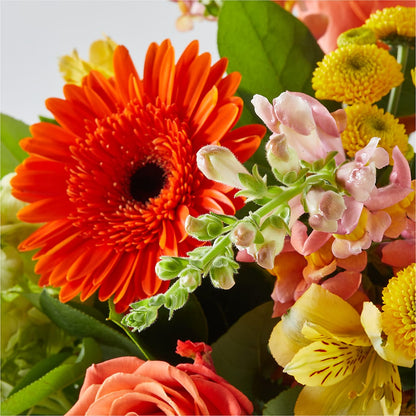 Autumn Sunshine Bouquet –  Floral Insight, Houston TX