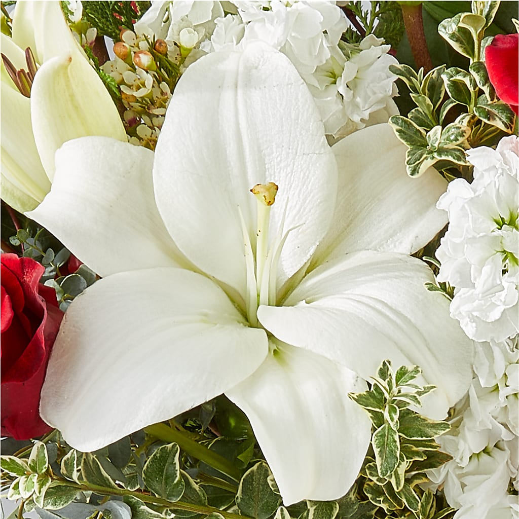 Twinkle Lights Bouquet –  Floral Insight, Houston TX