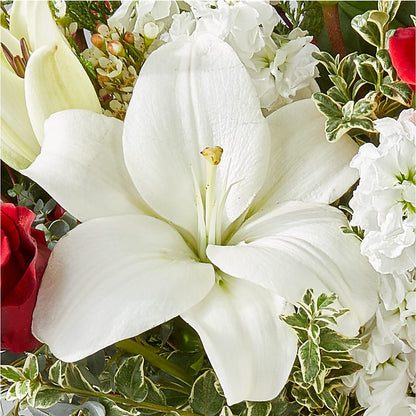 Twinkle Lights Bouquet –  Floral Insight, Houston TX