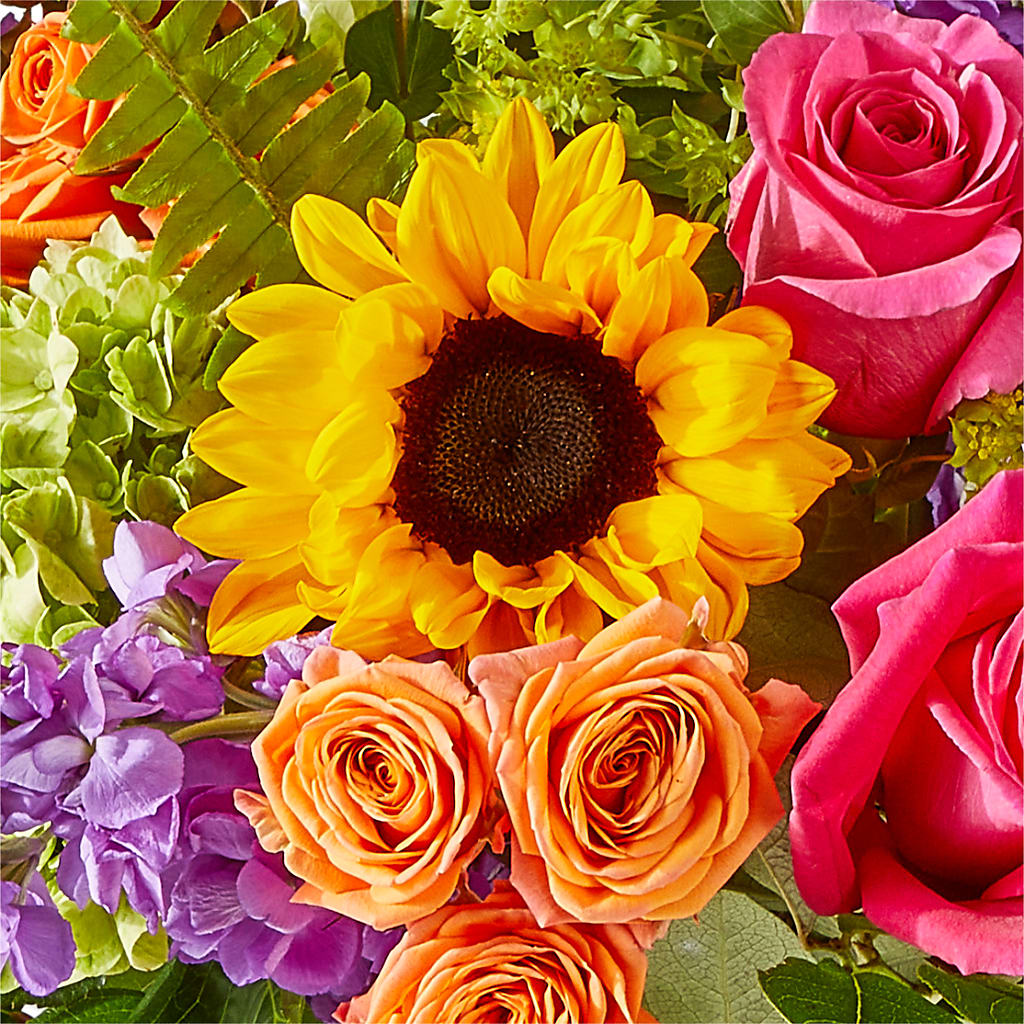 Vibrant Greetings Bouquet –  Floral Insight, Houston TX
