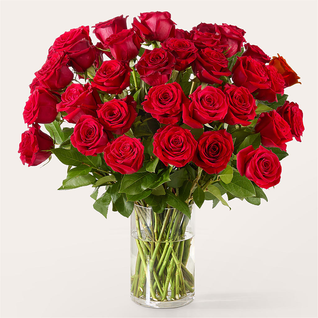 The One Red Rose Bouquet –  Floral Insight, Houston TX