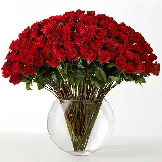 The Idealist –  Floral Insight, Houston TX