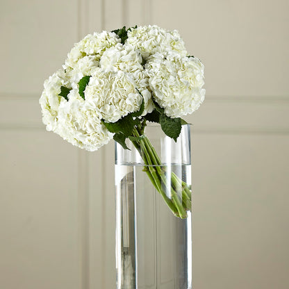 White Hydrangea Hand-Tied Bouquet –  Floral Insight, Houston TX