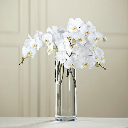 White Phalaenopsis Bouquet –  Floral Insight, Houston TX